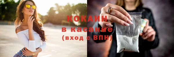 амф Алексин