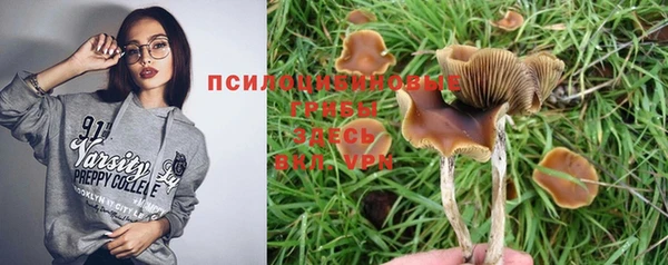 амф Алексин