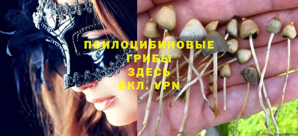 амф Алексин