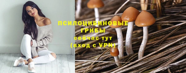 амф Алексин