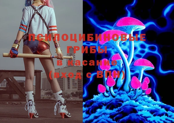 амф Алексин