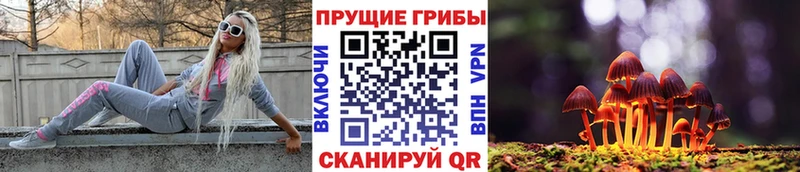 где купить наркоту  Лаишево  Псилоцибиновые грибы Magic Shrooms 